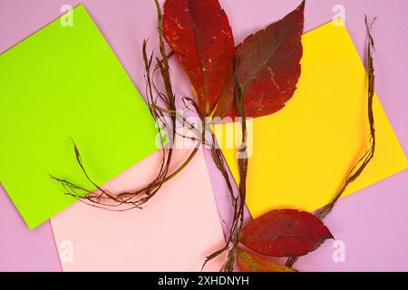 blank gift card with dry branches and autumn leaves. Kraft memo pad, empty paper. Stock Photo