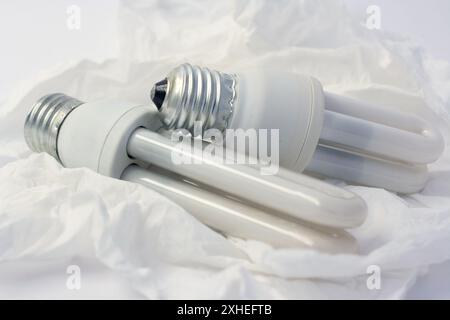 Two daylight-type fluorescent light bulbs on a white tissue drapery background. Stock Photo