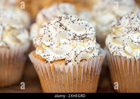Amazing Vanilla cupcakes with vanilla icing and chocolate sprinkles Vanilla cupcakes with vanilla icing and chocolate sprinkles Stock Photo