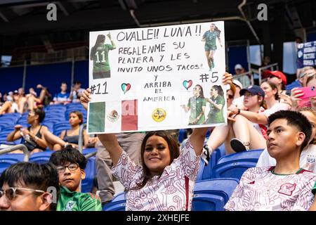 Uswnt Fans Fans attend USWNT versus Mexico pre-Olympic friendly match at Red Bull ...