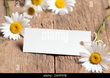 Chamomile flowers with empty white paper tag on wooden background background, selective focus. Mothers Day, Birthday, Womens Day celebration concept. Stock Photo