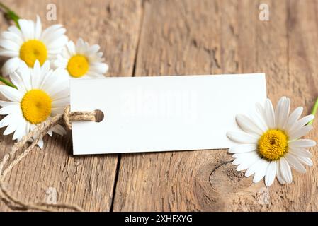 Chamomile flowers with empty white paper tag or label for your text on wooden background background close up. Mothers Day, Birthday, Womens Day greeti Stock Photo