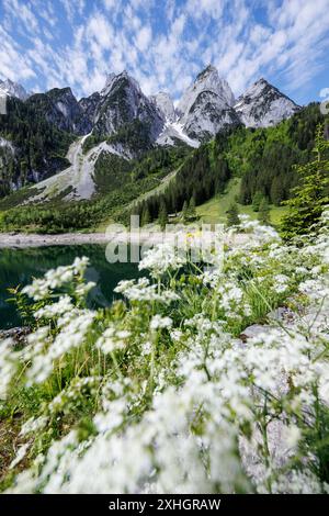 Fabelhafte Schne Seen In Sterreich Ebenbild