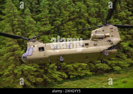 Royal Netherlands Air Force Helicopters in action, during Operation Tac Blaze 2024 at RAF Spadeadam Stock Photo