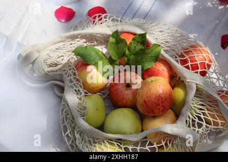 Green and red apples with leaves in white cotton mech bag. Eco friendly reusable shopping bag close up photo. Ripe apples in a string bag Stock Photo