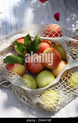 Green and red apples with leaves in white cotton mech bag. Eco friendly reusable shopping bag close up photo. Ripe apples in a string bag Stock Photo