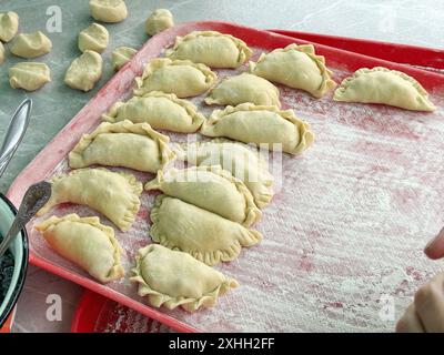 Cooking dumplings with blueberries. Dumplings are laid out on a tray. Stock Photo