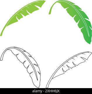 banana leaf design vector illustration Stock Vector Image & Art - Alamy