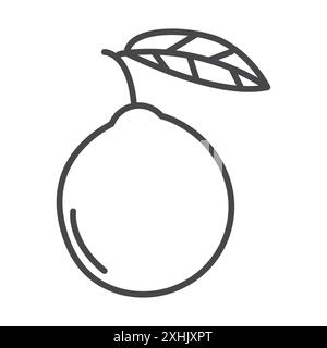 Guava icon Black line art vector in black and white outline set collection sign Stock Vector