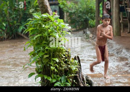 Lifestyle in an Embera village, Panama Stock Photo