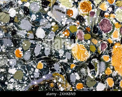 multicolored spots and splashes of acrylic paints on a black background. Stock Photo