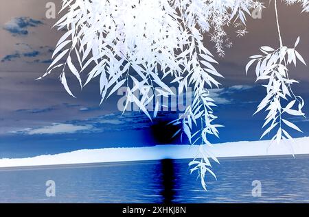 White leaves of different sizes. Background from different shades of blue, purple, gray. Horizontal white stripe and black circle and stripe. Abstract Stock Photo