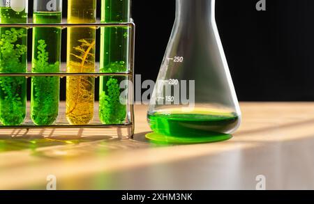 Algae fuel biofuel industry lab researching for alternative to fossil algae fuel or algal biofuel. Stock Photo