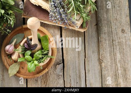 Different aromatic herbs, mortar with pestle, old books and spices on wooden table, flat lay. Space for text Stock Photo