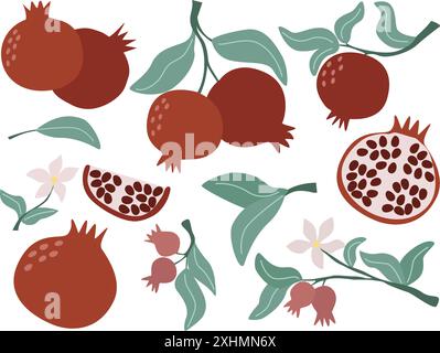 Hand drawn pomegranate fruit set Stock Vector