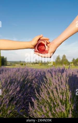 Symbol of charity, love, support, hope, healthcare. adult and child's hands hold red heart against the background of blue sky and lavender field. Worl Stock Photo