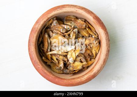Dried rupchanda shutki or chinese pomfret fish in earthen pot on light ...