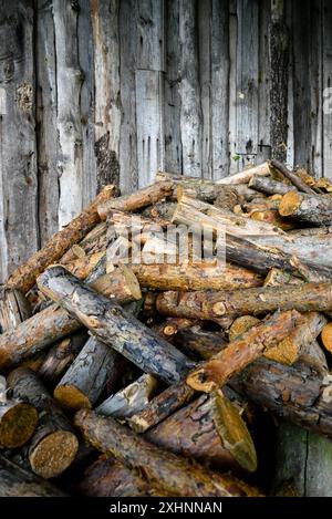 wooden logs and bars of different shapes lie on the background of a stable Stock Photo