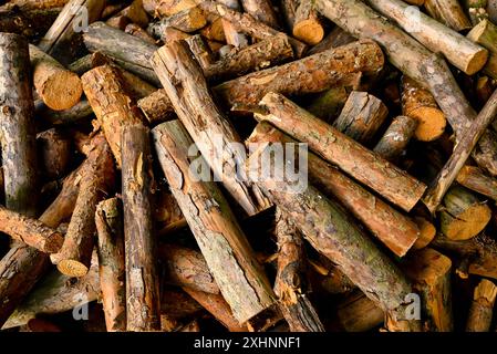 wooden blocks of different shapes lie on the ground after cutting Stock Photo