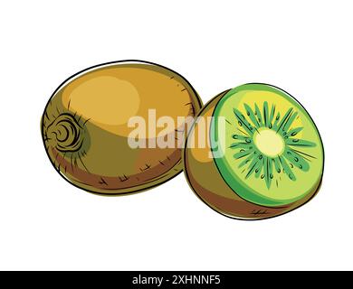 Set of hand drawn fresh green kiwi. Whole and halved tropical fruit in doodle style. Vector illustration isolated on white background. Stock Vector
