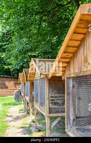 A cozy wooden house for rabbits in a shady forest, surrounded by dense greenery and sunlight, creates a peaceful atmosphere of a country idyll. Stock Photo