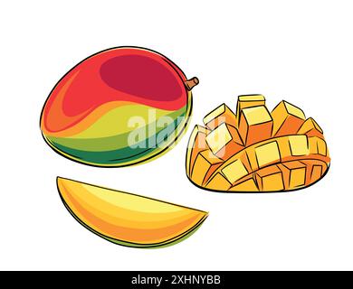 Set of hand drawn fresh green mango fruit. Whole and halved tropical fruit in doodle style. Vector illustration isolated on white background. Stock Vector