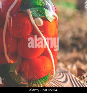 Canned organic tomatoes with herbs in a jar Stock Photo