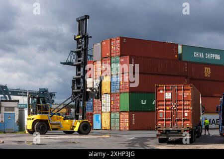 Hyster container stapler at the container terminal Molenkopf of the Rhine port in the town district Niehl, Cologne, Germany. Hyster Containerstapler i Stock Photo