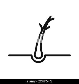 Hair Split Ends icon Black line art vector in black and white outline set collection sign Stock Vector