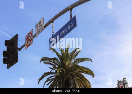 Hollywood Boulevard Street Sign And Traffic Light In Los Angeles California With Blue Sky Palm Tree Stock Photo