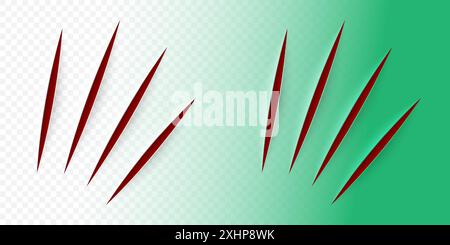 Vector realistic cut with an office knife on paper sheet isolated. Animal claws scratches on transparent background. Stock Vector