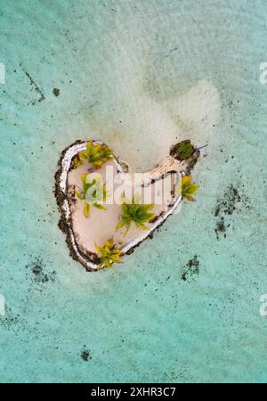 French Polynesia, Taha'a island, heart-shaped motu and coconut palm plant in the middle of the lagoon of the Taha'a by Pearl Resort hotel (aerial view Stock Photo