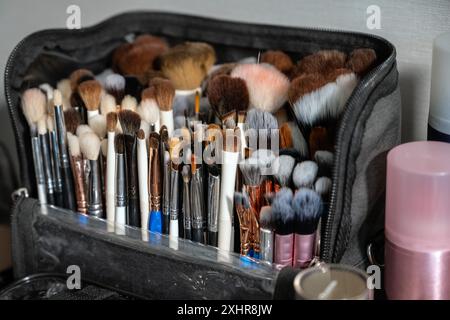 Variety of cosmetic brushes in organized zip case for make up artist to appy product to any part of the beauty clients face. Stock Photo
