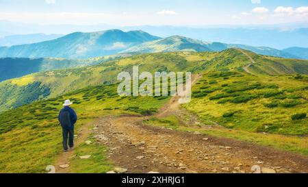 hiking carpathian mountains in summer. outdoor adventures in ukraine. path down the rolling slopes of mount petros in dappled light Stock Photo