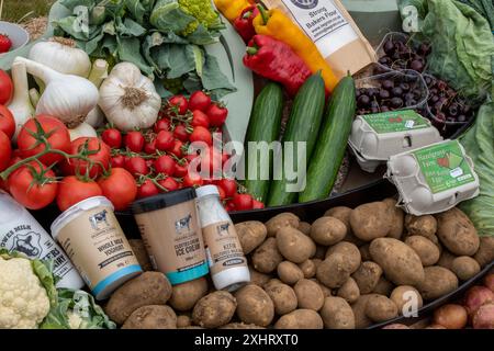 selection of organic farm products fruits and vegetables from isle of wight farm shop. Stock Photo