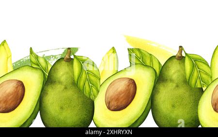 Avocado Seamless Border. Watercolor hand drawn botanical illustration. Vegetarian fruit. Half avocado. Slices of green avocado. Stock Photo