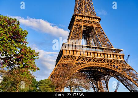 Eiffel tower. Paris. France. Stock Photo