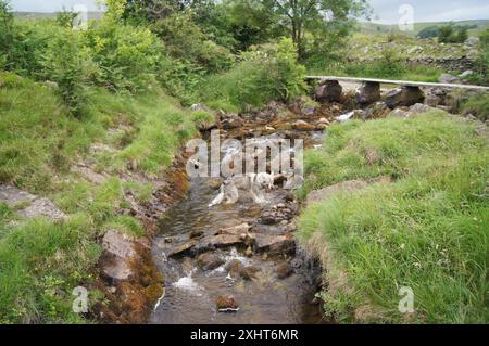 Tamaskan Wolfdog Bathing in the Stream at Wash Dubs, Crummackdale, Near Austwick, North Yorkshire, UK Stock Photo