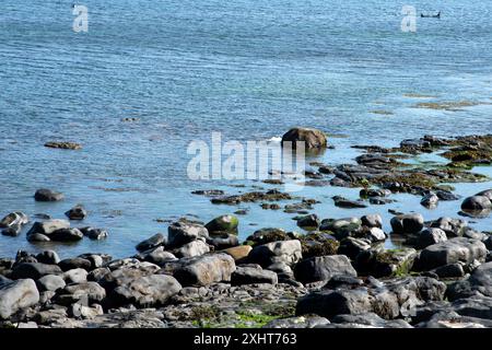 The seal colony beach on the Inis Mor, Co, Galway, Inishmore, Aran Island, Ireland Stock Photo