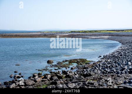 The seal colony beach on the Inis More, Co, Galway, Inishmore, Aran Island, Ireland Stock Photo