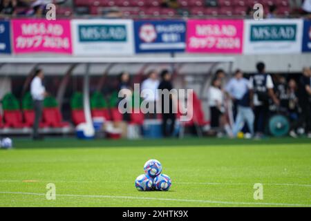 Kanazawa, Ishikawa, Japan. 13th July, 2024. General View Football/Soccer : MS AD Cup 2024 Noto Peninsula Earthquake Reconstruction Support Match between Japan 4-0 Ghana at Kanazawa Go Go Curry Stadium in Kanazawa, Ishikawa, Japan . Credit: SportsPressJP/AFLO/Alamy Live News Stock Photo