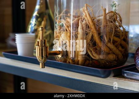 crowd of real ginseng from the North of Korean Republic. Alcoholic Chinese tincture in a glass jar. Traditional Chinese medicine. Stock Photo