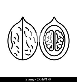 Walnut icon linear logo mark set collection in black and white for web Stock Vector