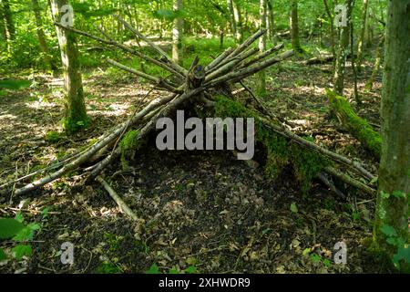 Small Tree Hut self build tree hut of branches and leaves with seats Stock Photo - Alamy