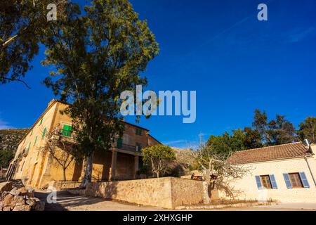 Galatzo refuge, dry stone path, GR221, Calvia, Natural area of the Serra de Tramuntana., Majorca, Balearic Islands, Spain Stock Photo