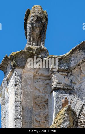 Lesser Kestrel ( Falco naumanni ) male posed monument, July 06, 2024 in Matera, Italy. Photo by Nicola Ianuale/Alamy Stock Photo Stock Photo