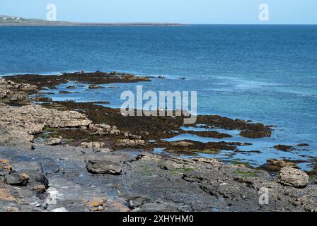 The seal colony beach on the Inis Mor, Co, Galway, Inishmore, Aran Island, Ireland Stock Photo