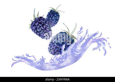 Watercolor illustration of juicy blackberries and strawberries falling into milk or yogurt, splashes flying around. Hand drawing. Stock Photo