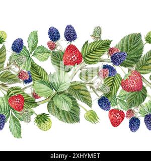 Seamless border with branches, leaves, blackberries and strawberries, watercolor illustration of branches with blackberries, strawberries and leaves, Stock Photo