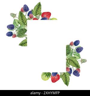 Frame of berries and leaves of blackberries and strawberries, watercolor illustration of blackberries, hand drawing. For design of cards, labels and o Stock Photo